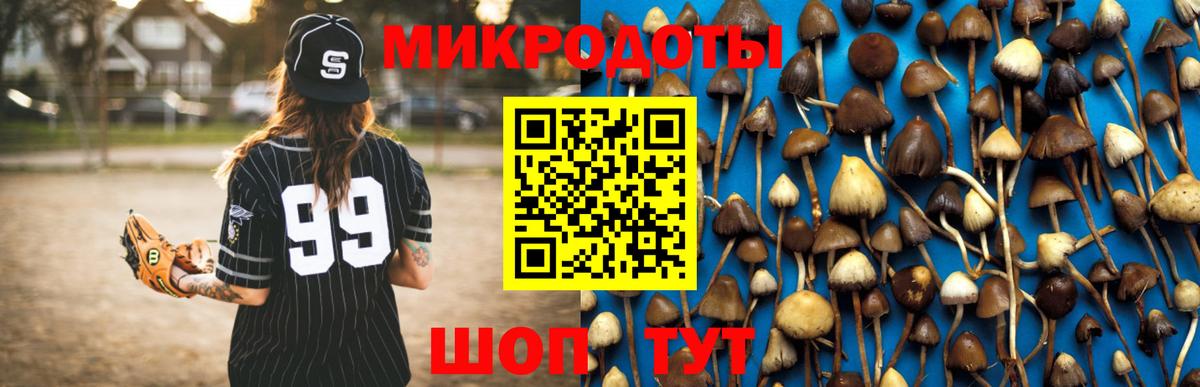 Псилоцибиновые грибы GOLDEN TEACHER  Псилоцибиновые грибы Psilocybe  Вход с VPN  Миллерово 