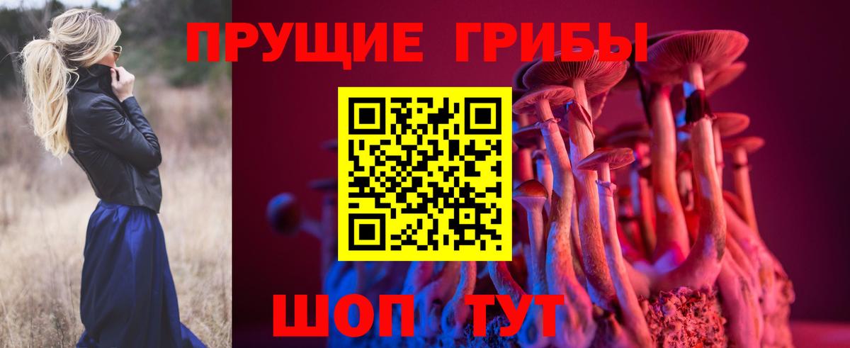 Псилоцибиновые грибы мицелий Миллерово